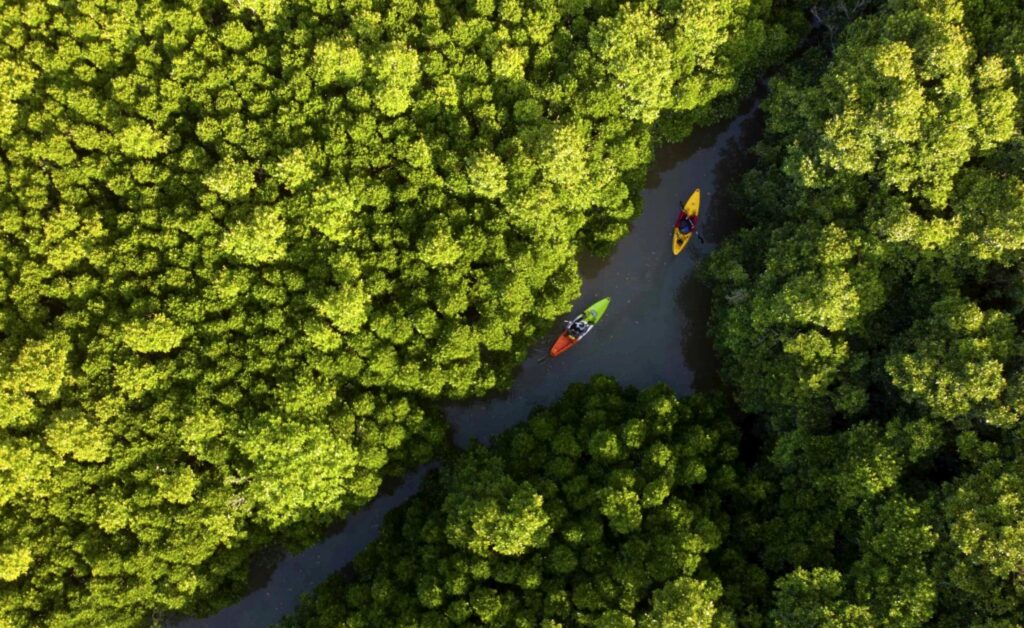 Upscaled Kayak 1024x628